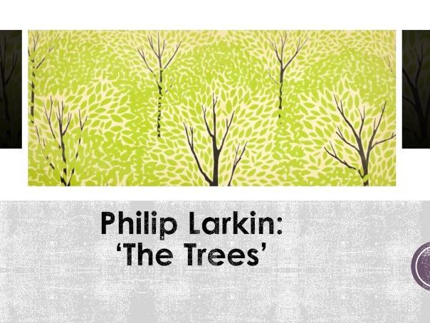 Unseen Poetry/ Anthology Poetry - The Trees by Philip Larkin