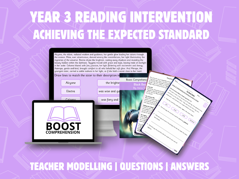 Year 3 Reading Intervention – Achieving Expected