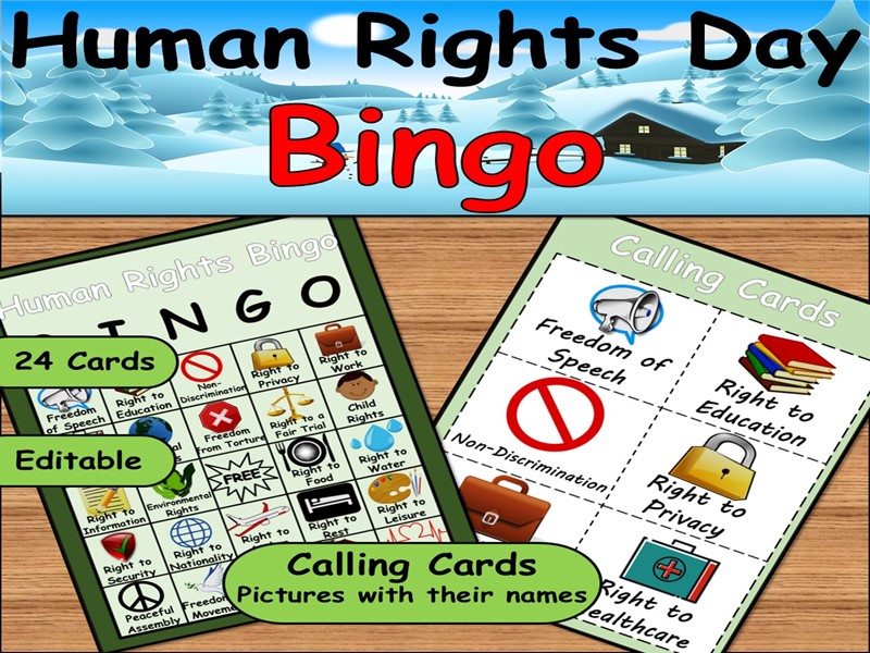 Human Rights Bingo | Game Social Studies & Citizenship Activity | December 10th Lesson