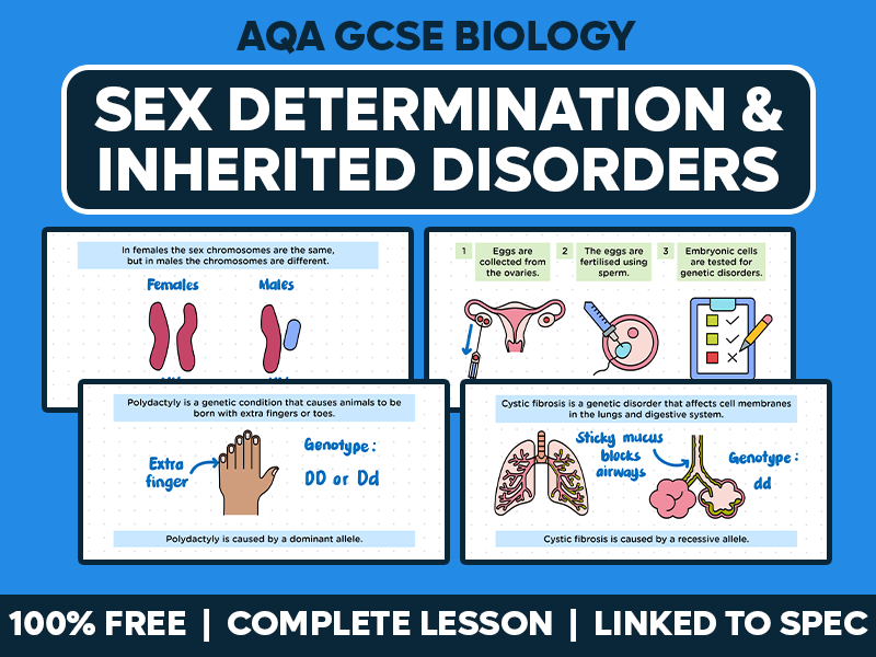 GCSE AQA Biology Complete Lesson - Sex Determination and Inherited Disorders