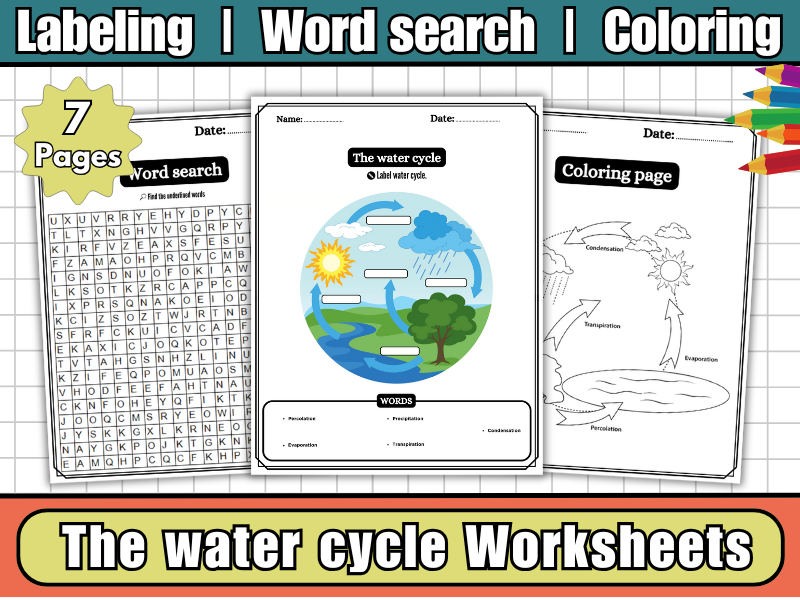 The Water Cycle Labeling Diagram, Worksheets, Coloring, Word Search & Earth Science Activities