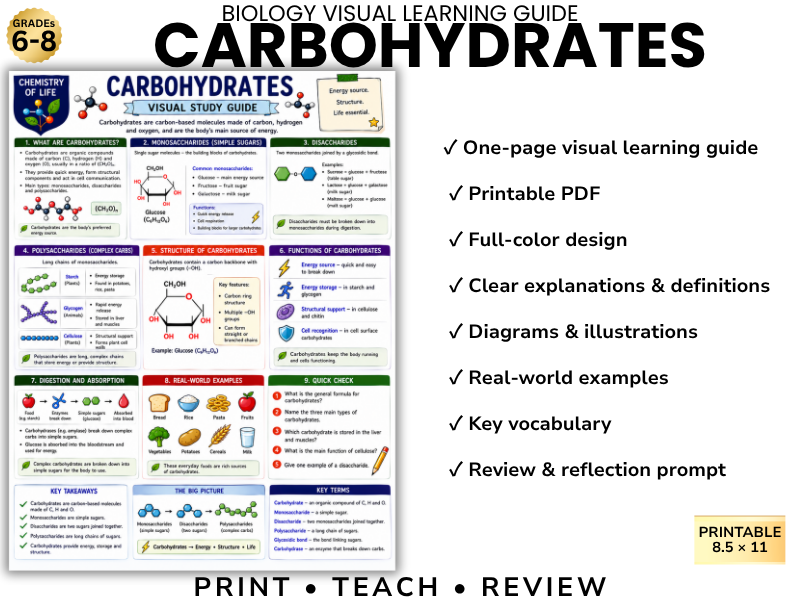 CARBOHYDRATES Biology Visual Learning Guide | Grade 8 & Middle School Science