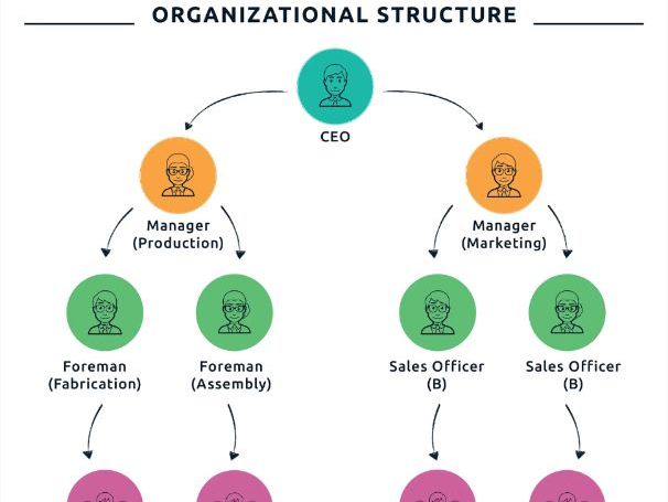 Cambridge A Level Business - 7.1 Organisational structure
