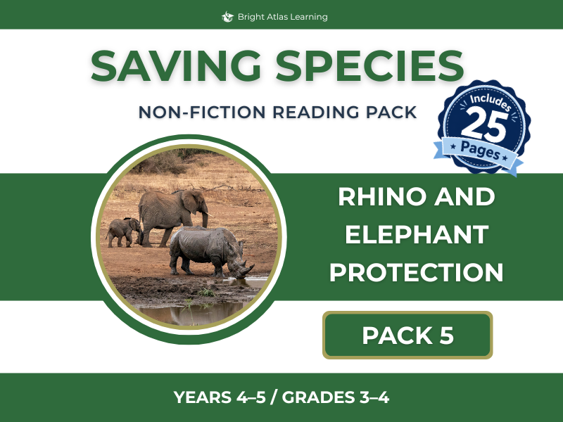 Rhinos and Elephants Reading Comprehension Pack | KS2 Years 4–5 Non-Fiction