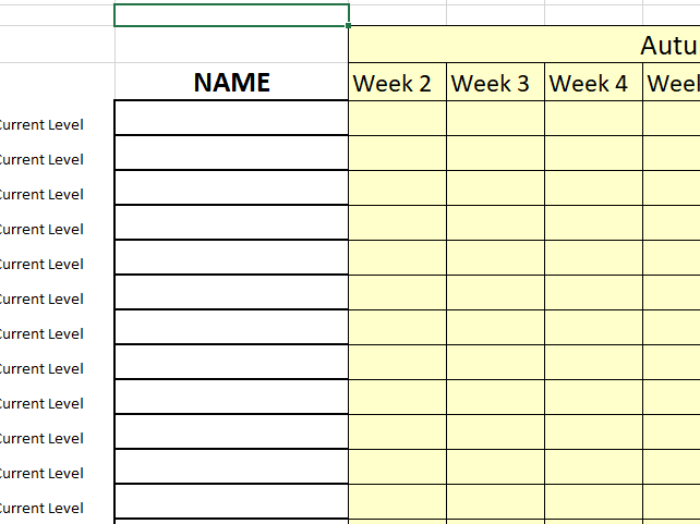 Data Tracking - Blank Formatted Spreadsheet