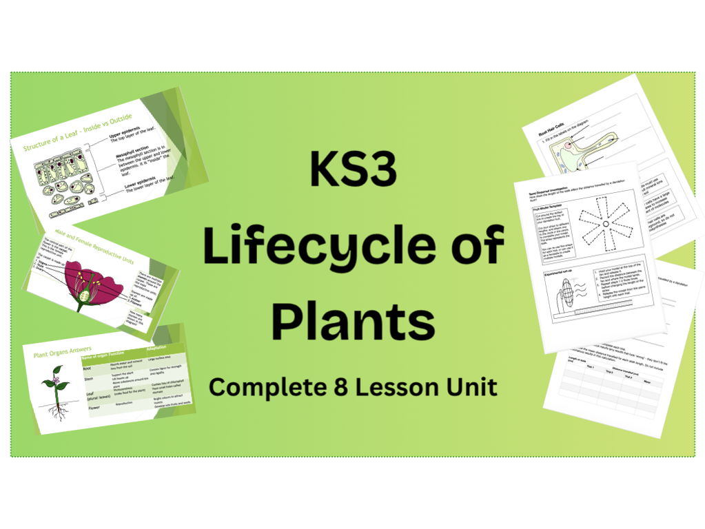 KS3 Plant Biology Full Unit