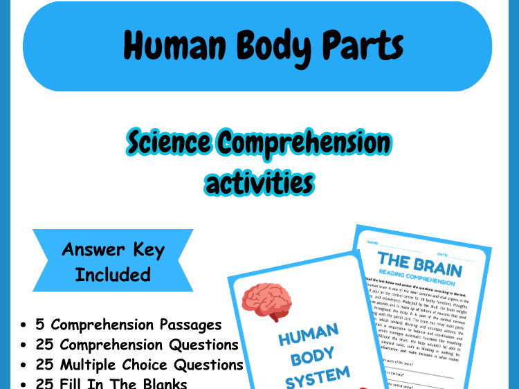 Human Body Systems – Interactive Worksheets & Activities (Organs, Functions, Diagrams)