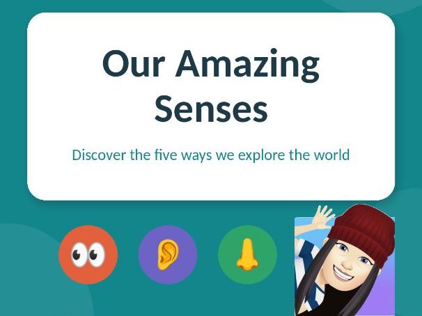 Our Amazing Senses — Year 1 Science