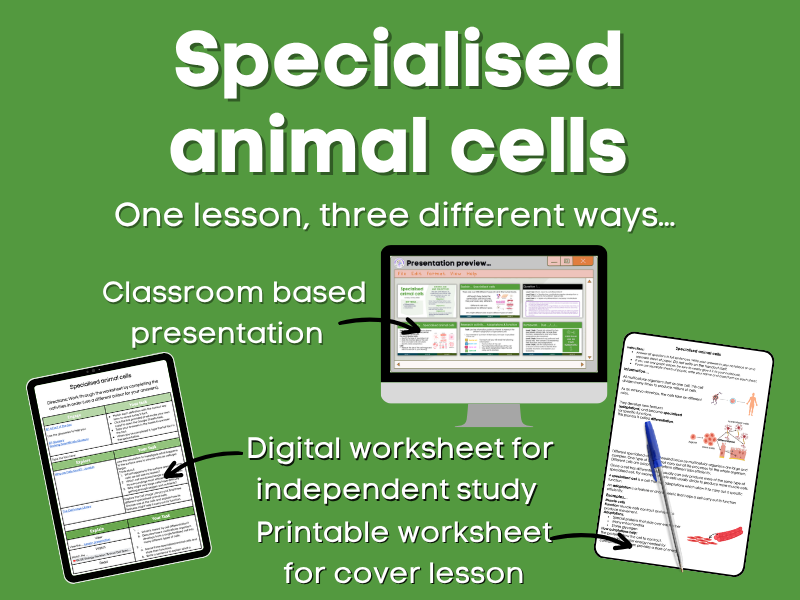 Specialised animal cells Lesson bundle