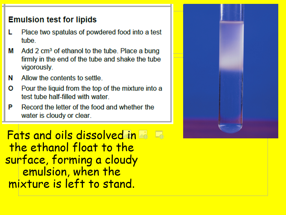 Edexcel SB1Testing Foods Core Practical and Calorimetry Complete 2