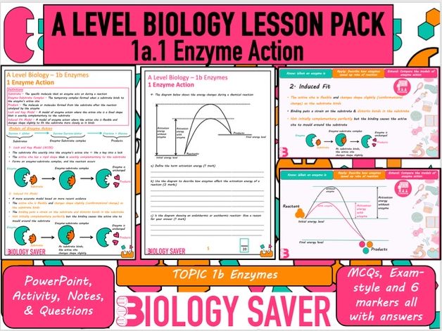 A Level Bio Lesson - 1b.1 Enzyme Action | Teaching Resources
