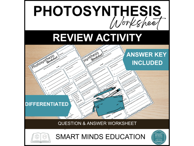 PHOTOSYNTHESIS REVIEW ACTIVITY WORKSHEET