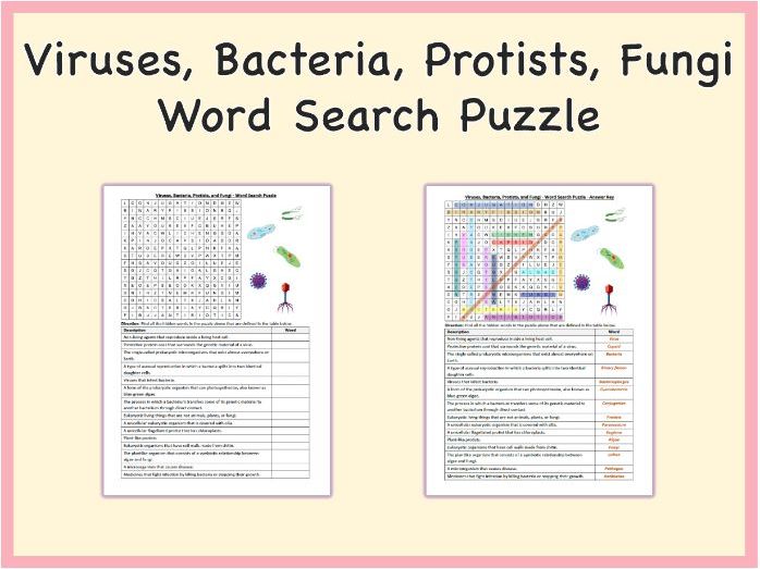 Viruses, Bacteria, Protists, and Fungi - Word Search Puzzle Activity (Printable PDF)