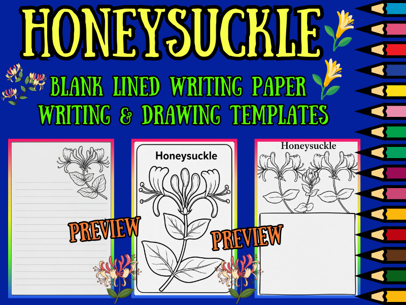 Honeysuckle Blank Lined Writing Paper Templates & Coloring Pages | NO PREP Pack