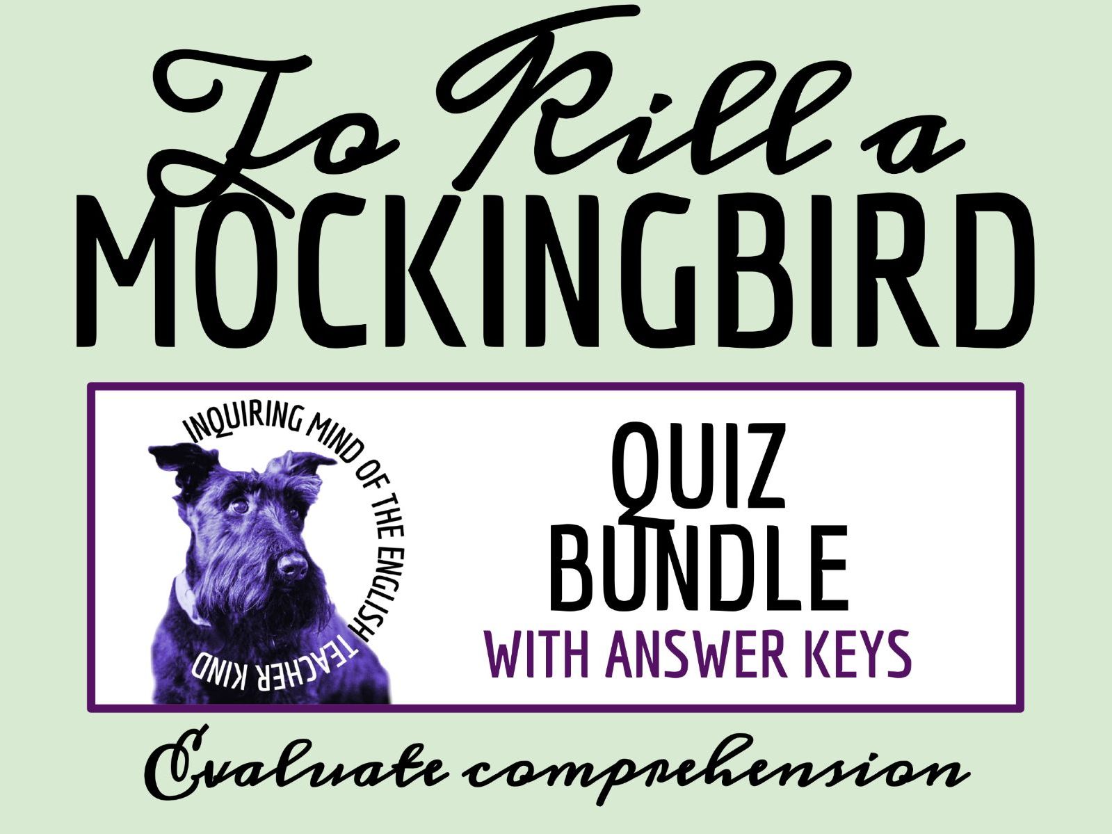 To Kill a Mockingbird Quiz and Answer Key Bundle