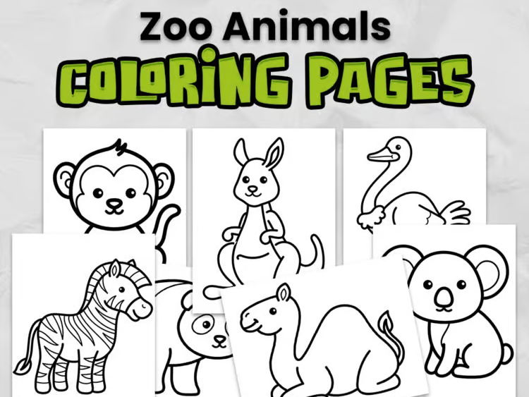 Zoo Colouring Pages | Zoo Animals Activity | EYFS, KS1 & KS2 Printable PDF