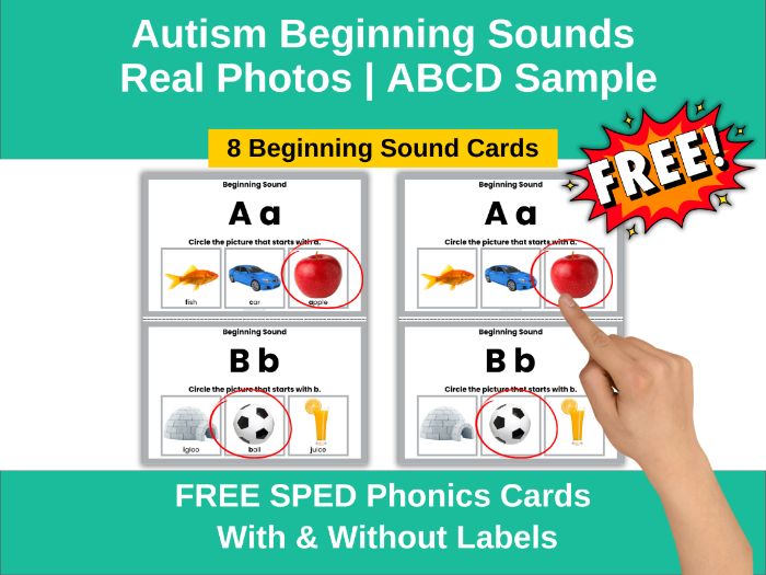 Autism Phonics Cards | ABCD Sample