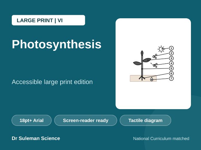 Photosynthesis Large Print VI KS3