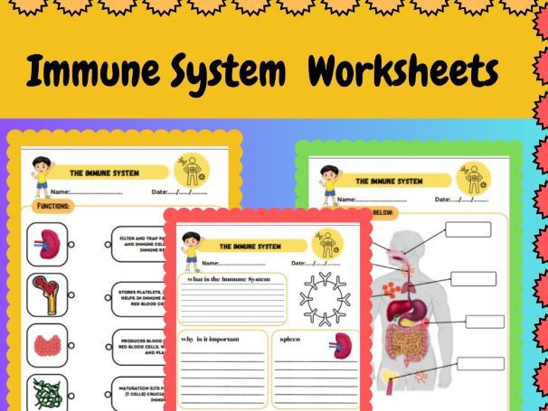 Human Body Systems | Immune System | Worksheets and activities