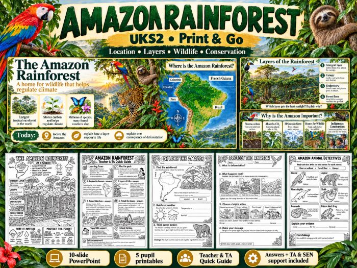 Amazon Rainforest UKS2