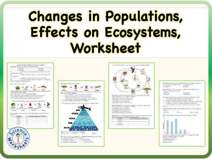 Changes in Populations, Effects on Ecosystems, Worksheet (KS3 Biology, Science)