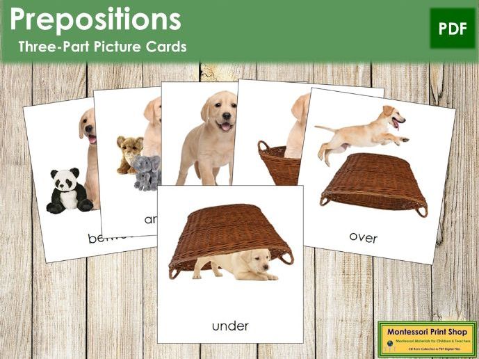 Preposition Three-Part Picture Cards (dog)
