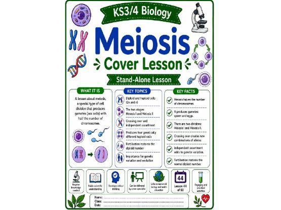 Meiosis cover lesson Biology (L44)