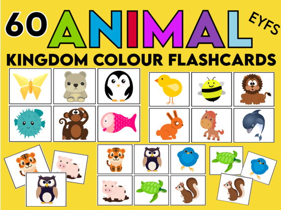 60 Animal Kingdom Flashcards EYFS