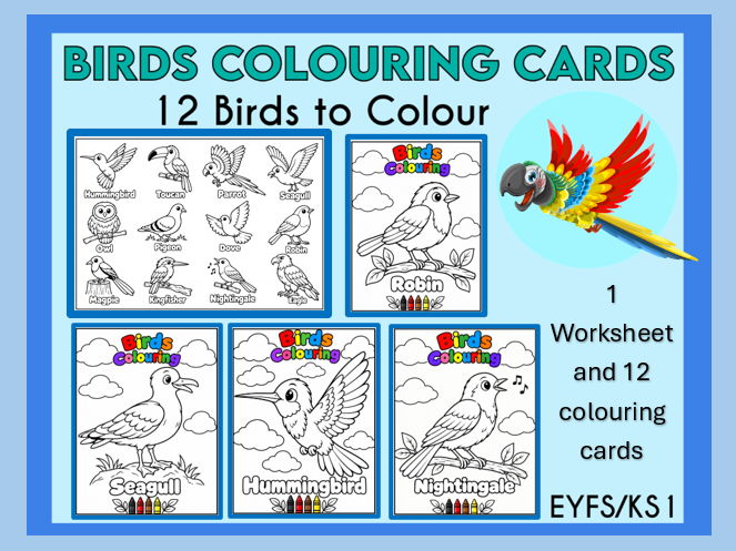 Birds Colouring Cards for EYFS and KS1
