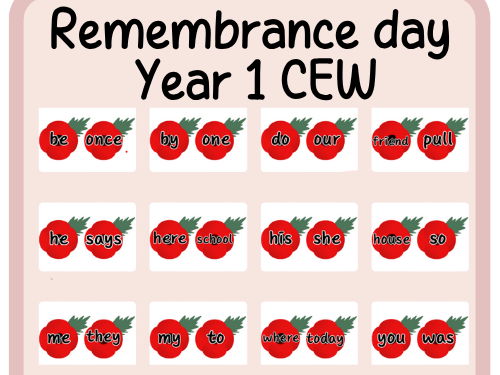 Year 1 common exception words- poppies- remembrance day