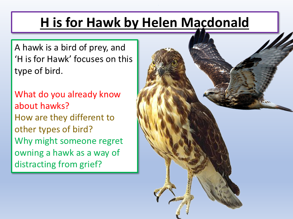 H is for Hawk Helen Macdonald