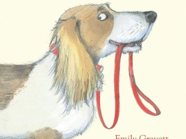 Dogs Hardcover(pptx)