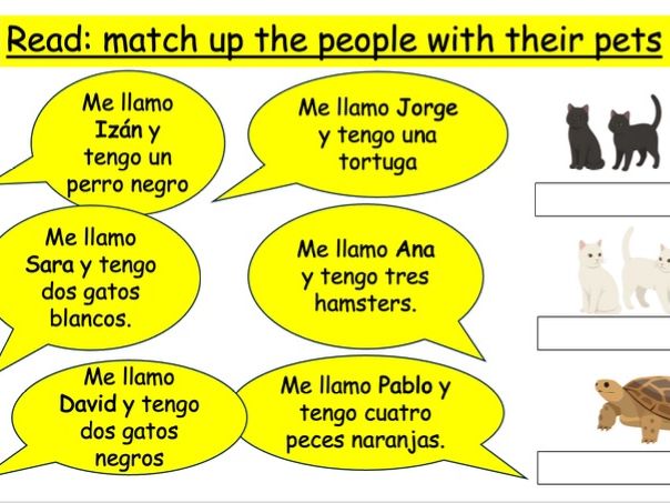 Pets and Family plurals