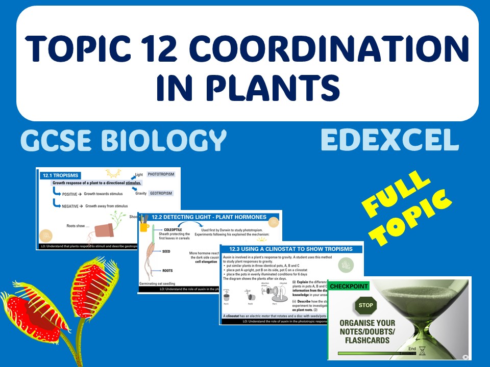 Coordination in plants - iGCSE EDEXCEL