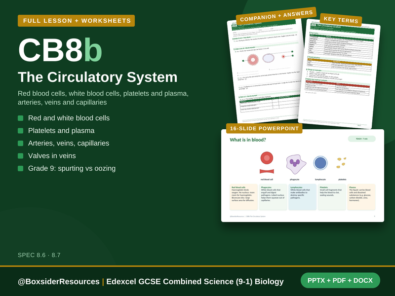 CB8b The Circulatory System | Edexcel GCSE Combined Science (9-1) | Lesson + Worksheet