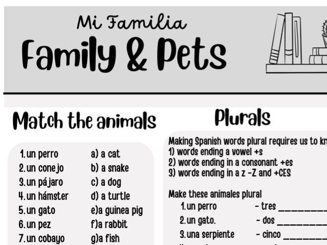 Pets and Family revision worksheet