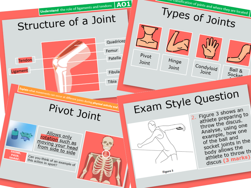 7. Joint Classification