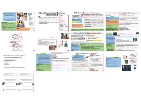 A-level Sociology: Introduction Feminism – (Theory of society and behaviour within it)