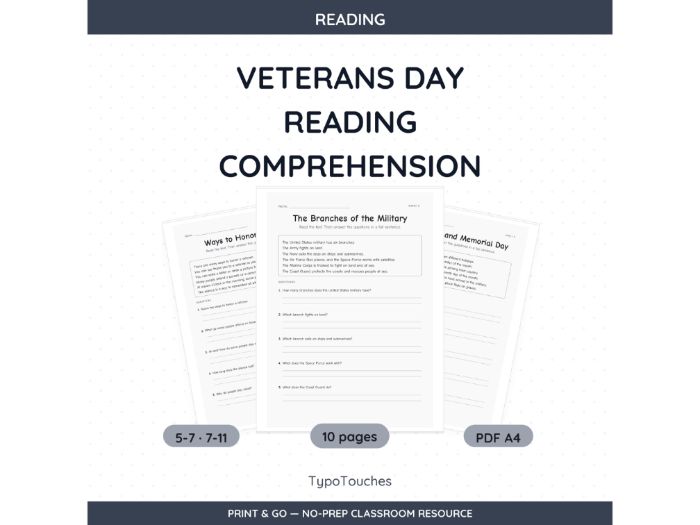 Veterans Day Reading Comprehension | 10 pp