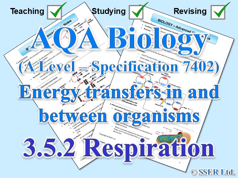 BIOA_AQA Topic Notes: 3.5.2 Respiration