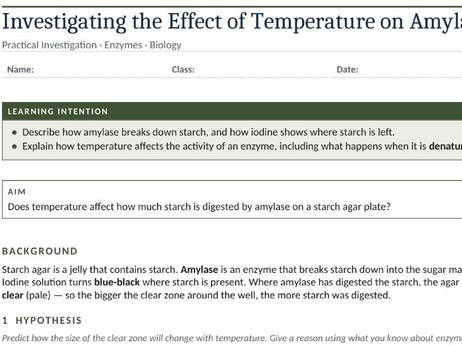 Enzymes Practical – Effect of Temperature on Amylase.