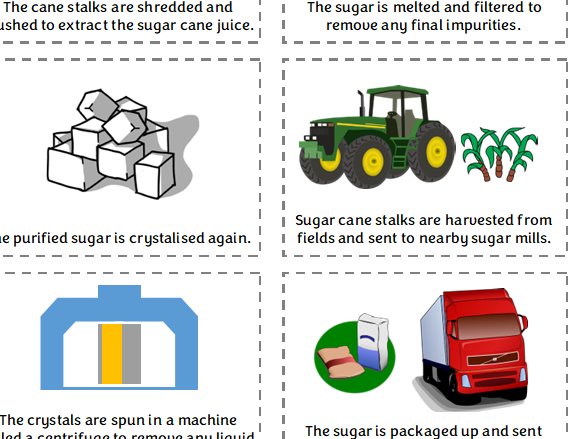 How Sugar is Made - Sequencing Activity