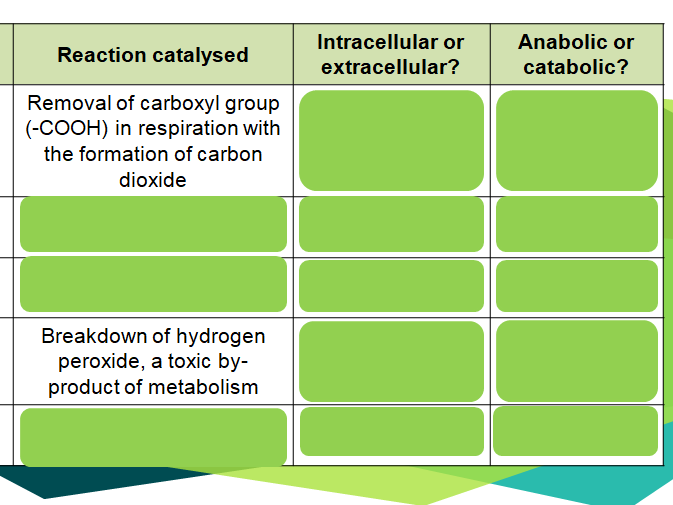 Enzymes