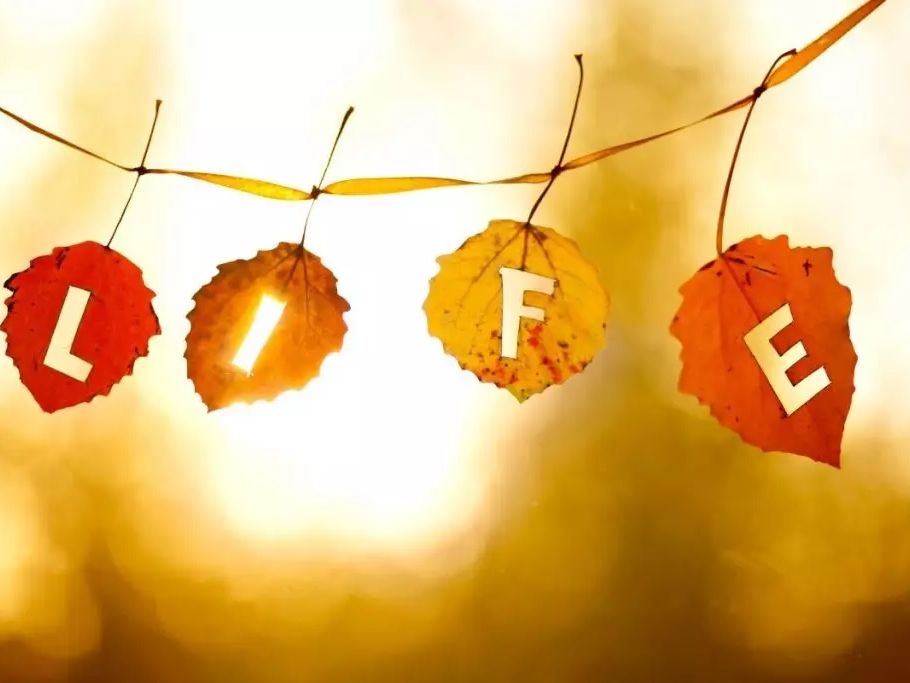 The Sanctity of Life