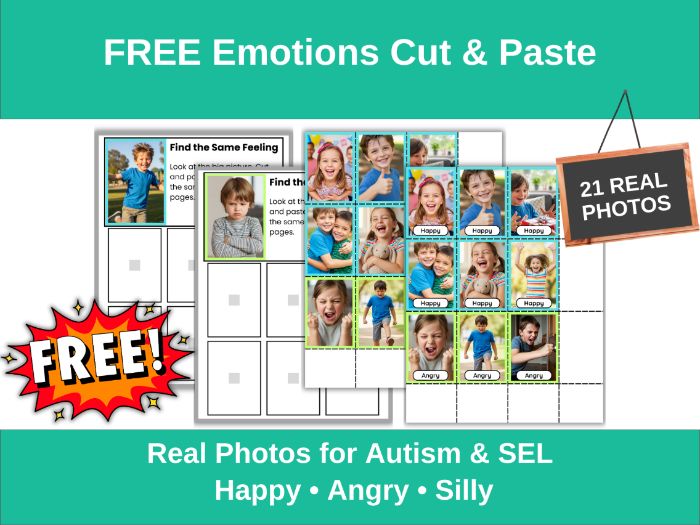 FREE Emotions Matching | Autism Activity