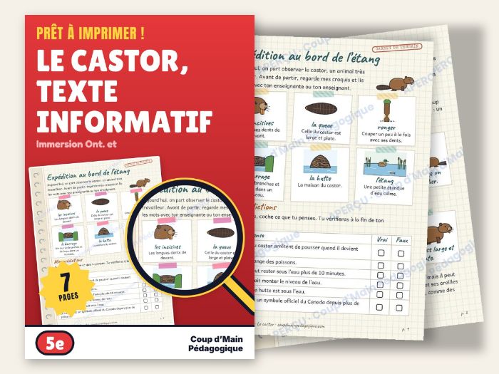 French Immersion Grade 5 Beaver Informational Text Reading