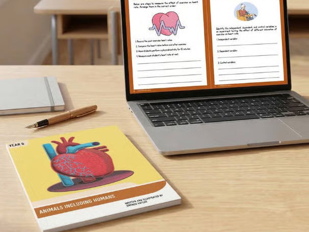 Animals Including Humans Year 6 — Booklet & Workbook Bundle