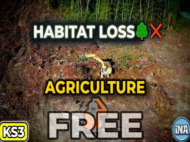 Agriculture and Habitat Loss - FREE KS3 Biology Worksheet