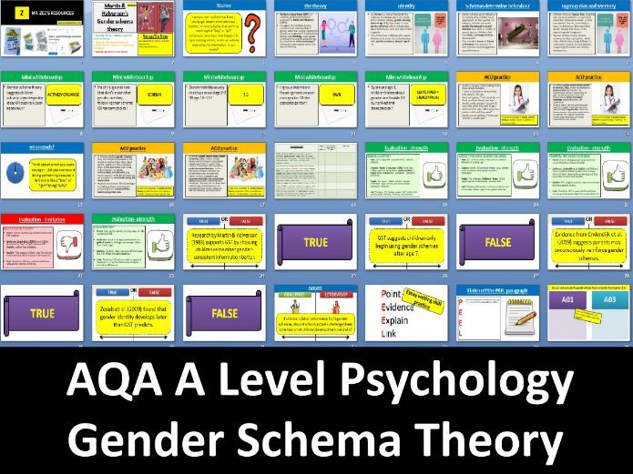 Martin & Halverson's Gender Schema Theory | First exams in 2027 - AQA A Level Psychology (Gender)