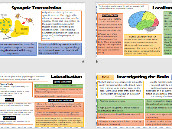 BIOPSYCHOLOGY Revision Powerpoint AQA Psychology